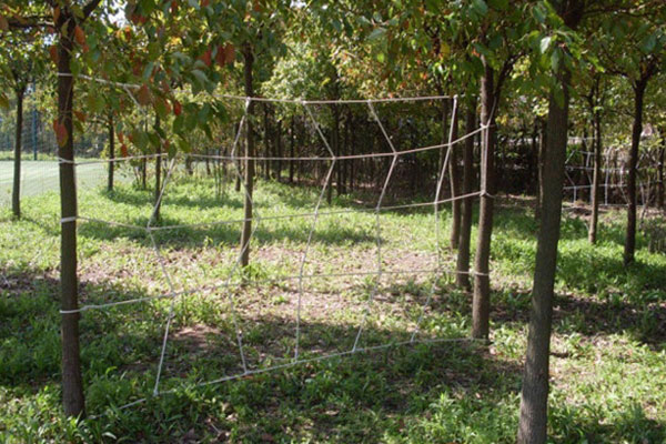 上海崇明島拓展(zhan)訓練基地